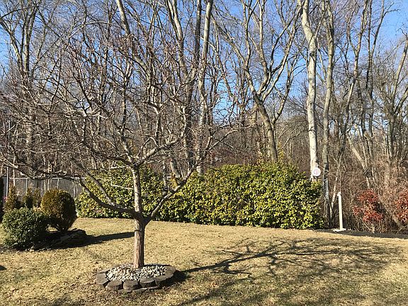 Breathtaking  backyard 