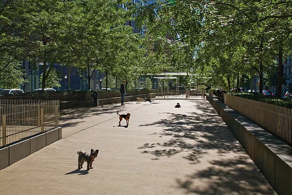 Rented by DSA Realty | media 54