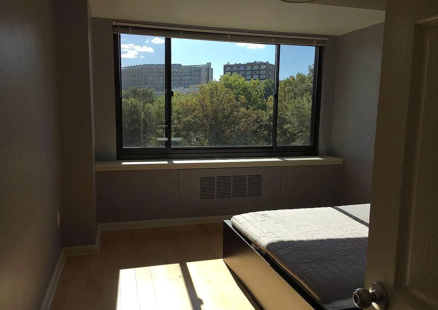 1 bed, 572 sqft, $2,000 — Photo 2