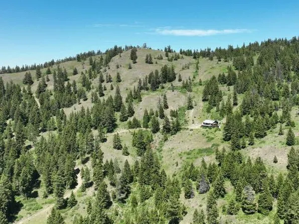 115 A Old Sheridan Rd, Wauconda, WA 98859