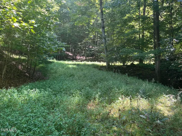 Hubert Taylor Rd, Mountain City, TN 37683