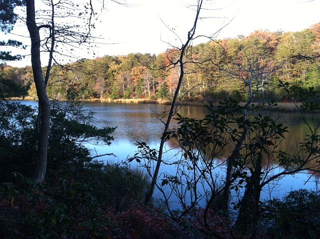 1st image of Knights Landing #Lot 25