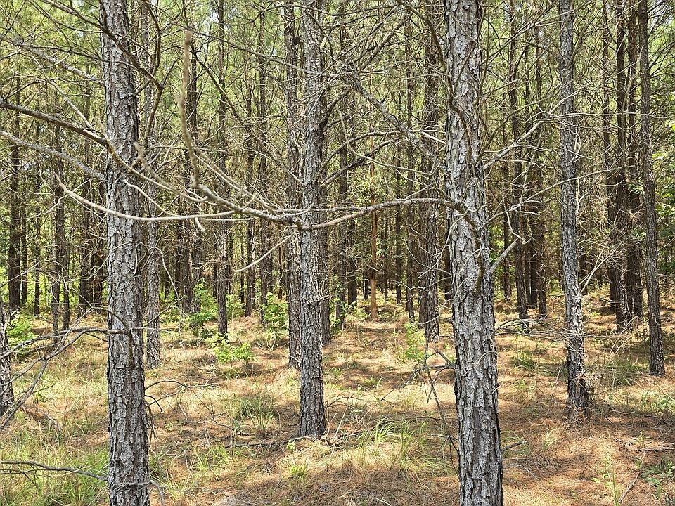 1st image of State Highway 56 N