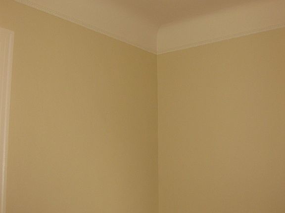2nd image of 24 Bonita St