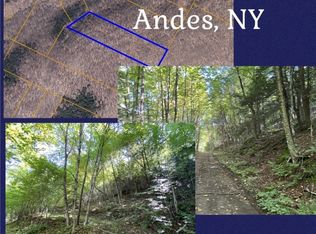 0 Davis Hollow Rd, Andes, NY 13731