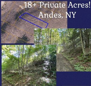 0 Davis Hollow Rd, Andes, NY, 13731
