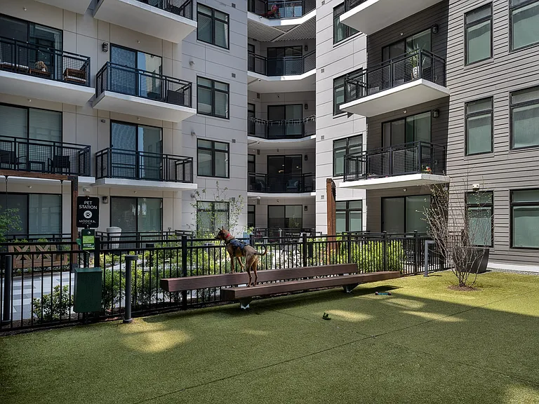 Pets will love to run and play in our spacious dog park.