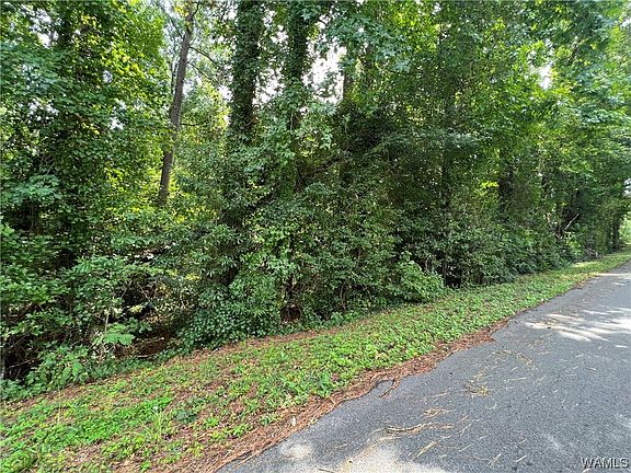 3rd image of 4905 Leland Dr