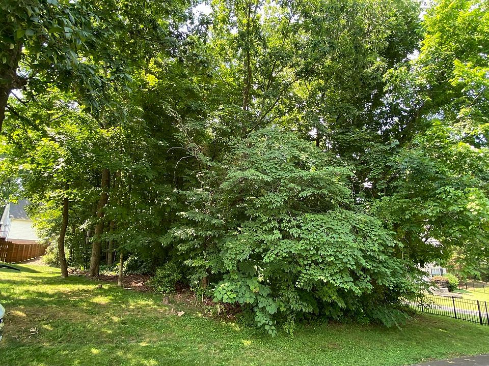 2nd image of 7313 Royal Springs Blvd