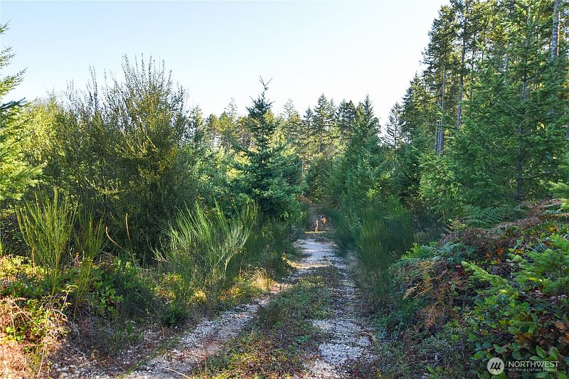 4th image of 20 Acres SW Hunter Road