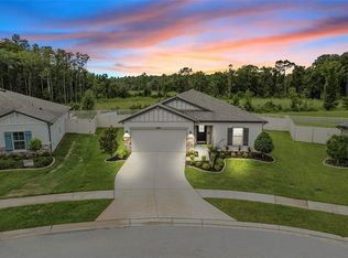 18696 Alfaro Loop, Spring Hill, FL 34610