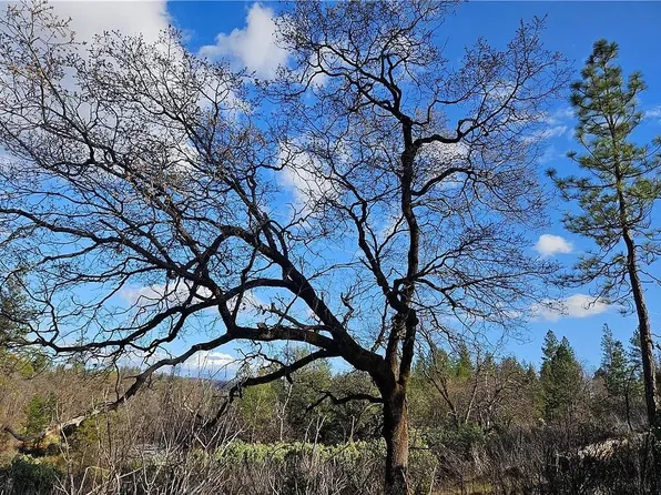 Feather Ridge Way, Berry Creek, CA 95916