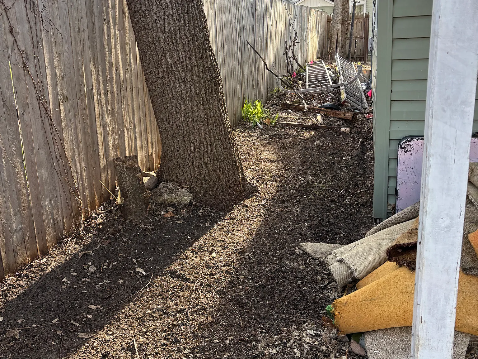 3 bed, 1100 sqft, $1,000 — Photo 3