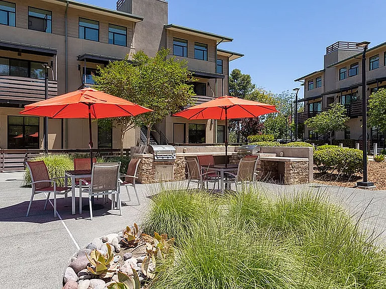 Relaxing Outdoor Courtyard Area
