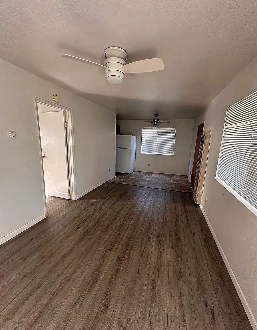 1 bed, $950 — Photo 4