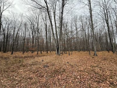 Gregerson Ln, Menominee, MI, 49858