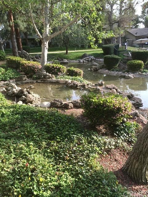 view from your private but open back patio