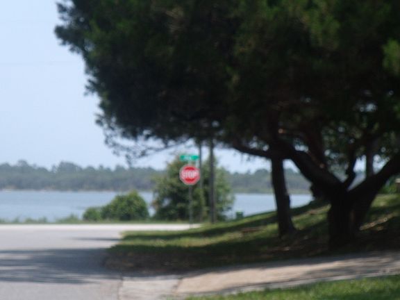 ICW View from front yard