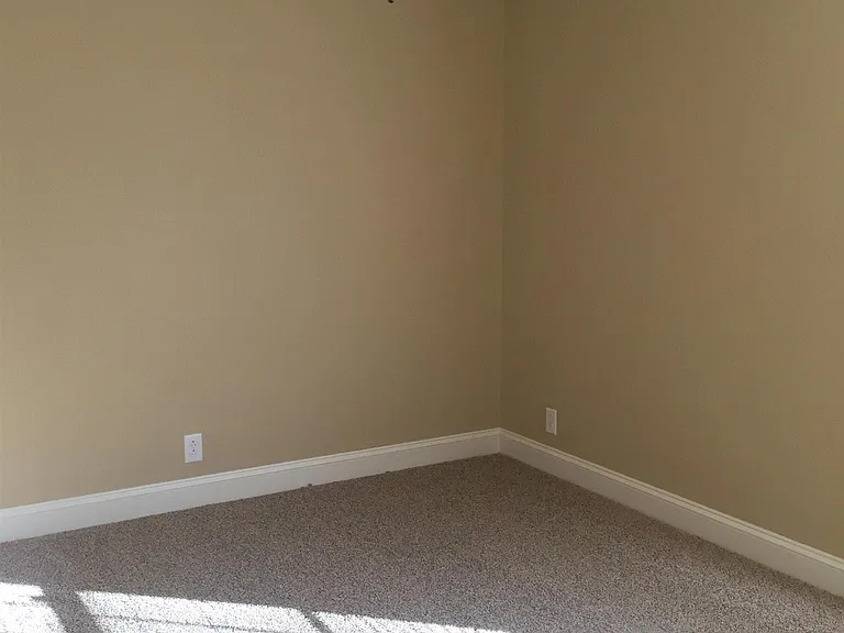 415 Palamino Ln — Photo 7