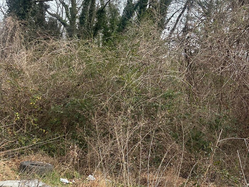 2nd image of 4581 White City Rd