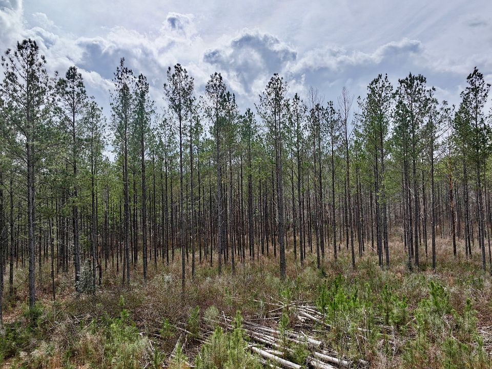 2nd image of 3613 Old Line Rd
