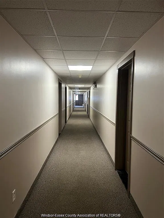 2 bed, 1.0 bath, $1,700 — Photo 3