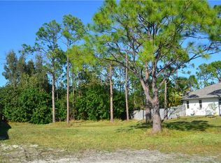 2833 NW 4th Ter, Cape Coral, FL 33993