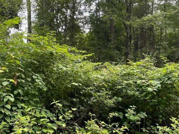 22 Pickle Hill Road, Queensbury, NY 12804