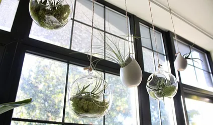 Rented by Nest Seekers International