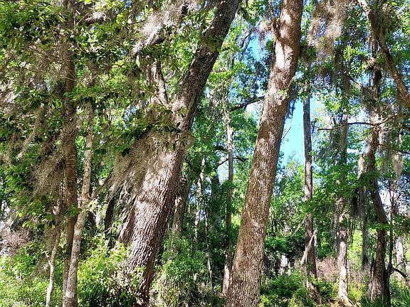 5th image of LOT-21A Preserve Trl