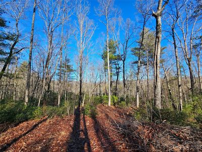 100 Big Bear Trl, Zirconia, NC, 28790