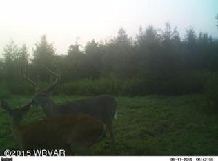 Flooks Run Road, Trout Run, PA 17771