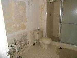hall bathroom