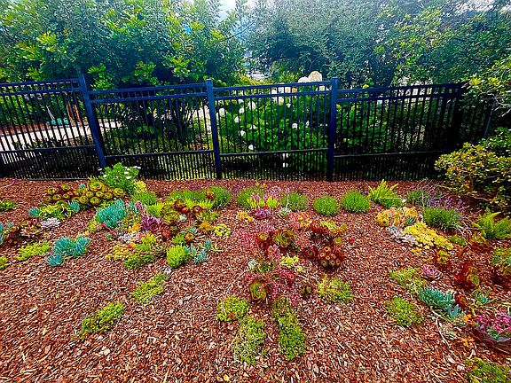 Curbside Exterior Garden