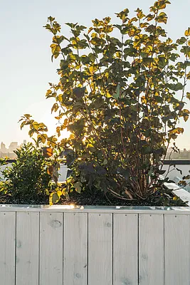 Rented by Nooklyn NYC LLC | media 47