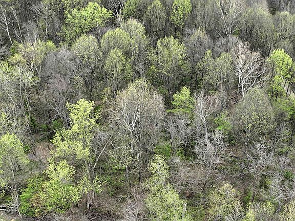 4th image of 164 E State Rd