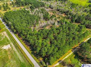 540 Cozy Corner Dr, Hartsville, SC 29550