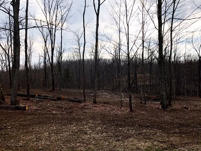 1st image of Lots 36 And 37 Clinchfield Dr