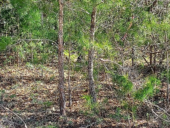 5th image of 26376 NW County Road 167