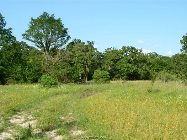 100 Live Oak Path, Somerville, TX 77879