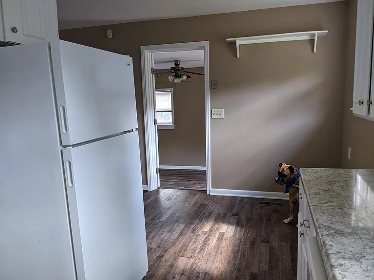 4833 Hopedale Dr — Photo 5
