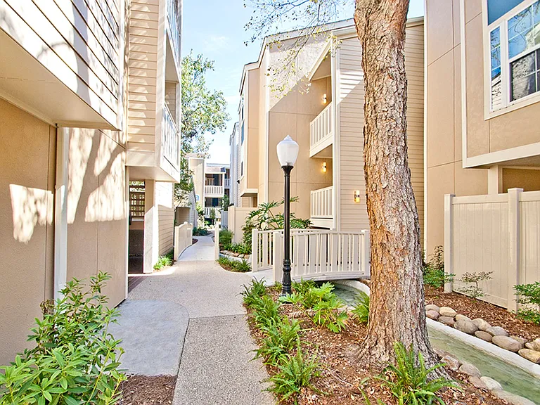 Walnut Creek — Photo 16