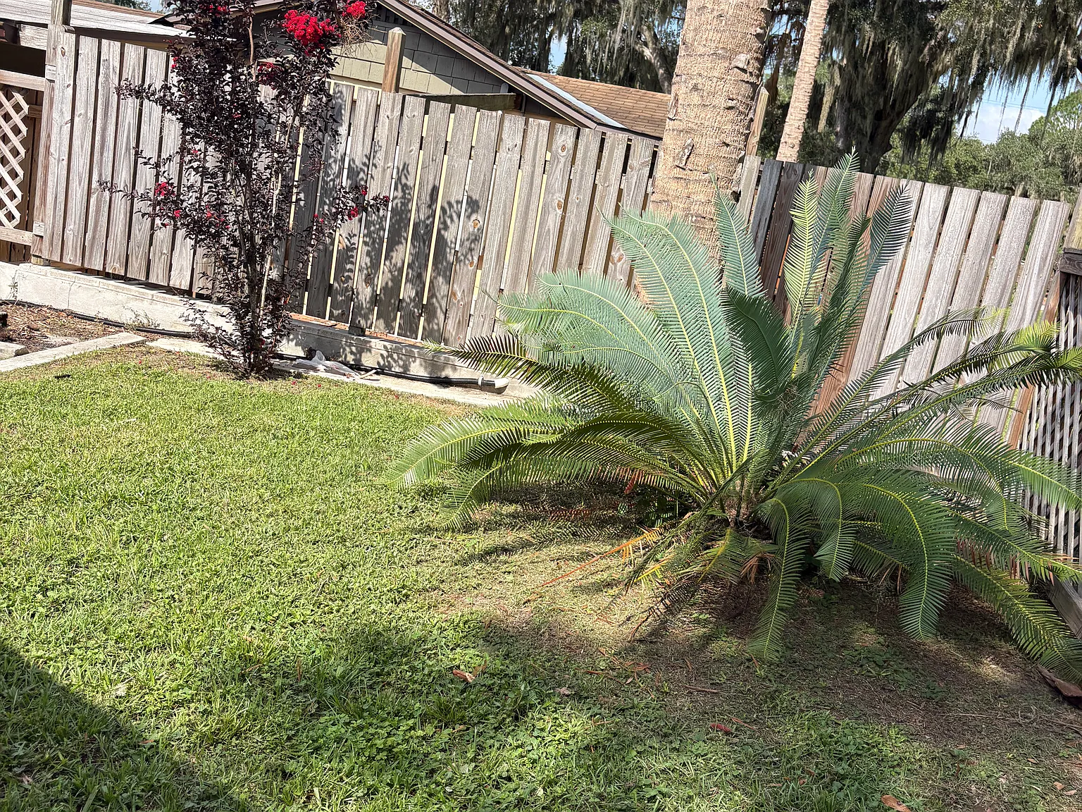 2 bed, 851 sqft, $1,325 — Photo 3