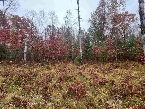 Trout Haven Rd #4, Dunbar, WI 54119