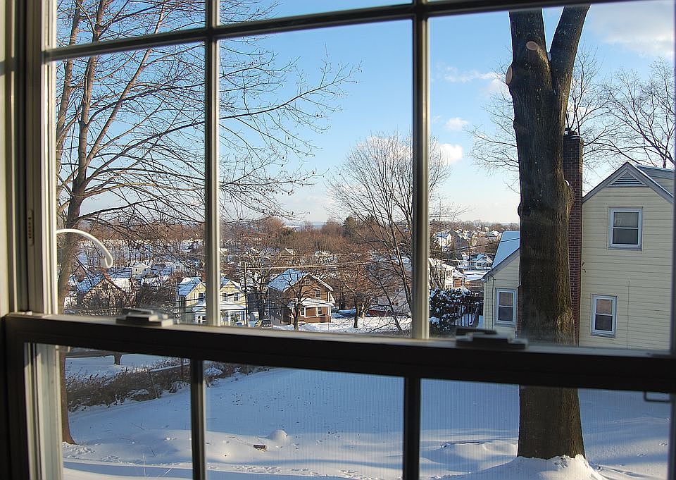 View from Living Room