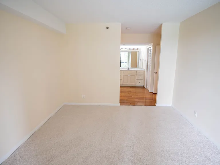 5505 Seminary Rd #316N — Photo 37