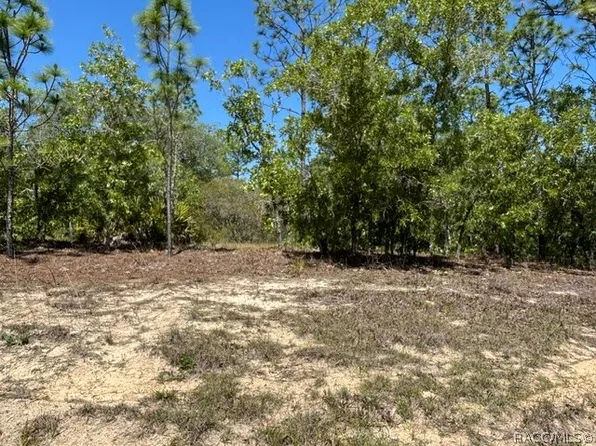 2888 W Lambert Dr, Citrus Springs, FL 34433