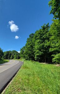 M22 Northwood Hwy, Arcadia, MI, 49613