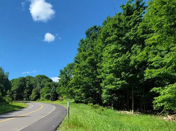 M22 Northwood Hwy, Arcadia, MI 49613