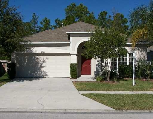 Front View (trimmed tree)